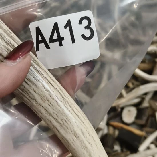 顺***子鹿角鹿角鹿角鹿角鹿角