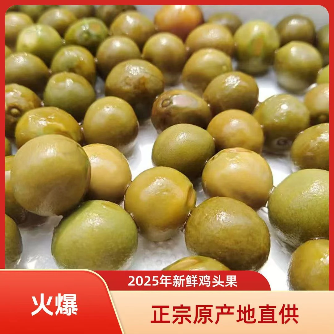 2025新鲜带壳鸡头果老嫩适中甄选款芡实-传统养生食材