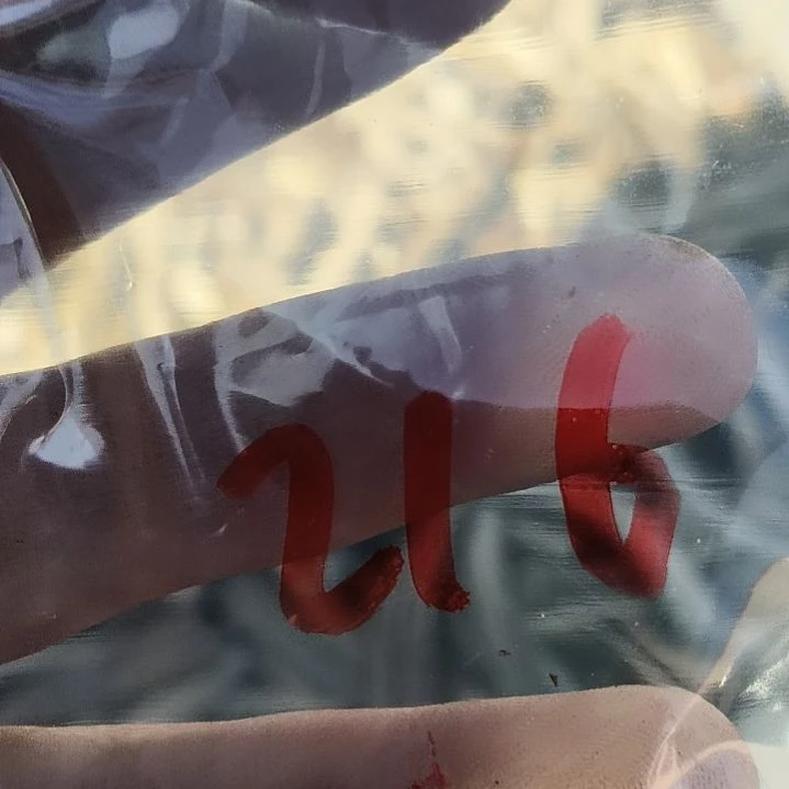 汤***姆鹿角鹿角鹿角鹿角鹿角鹿角