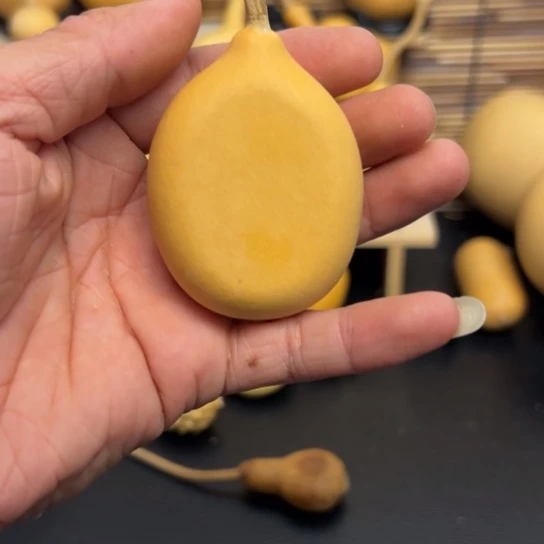 一*呀158888888888898888