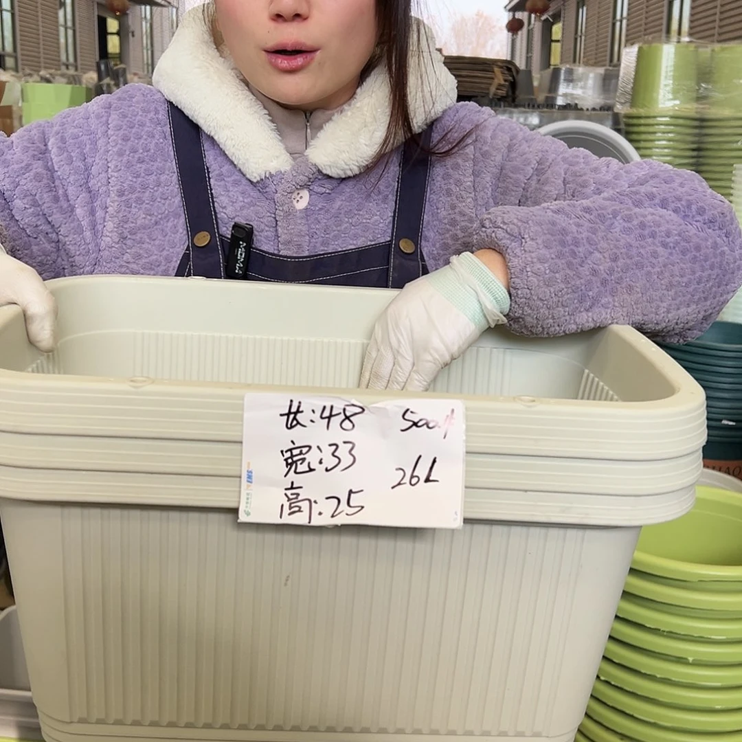 菜盆500#米白3个无托