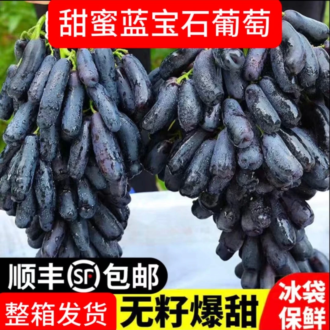 【新疆纯甜美人指葡萄3斤毛重】纯甜多汁无籽顺丰送货上门