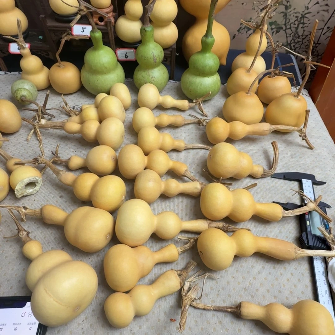 常***弟直播也要有的啦嘻嘻