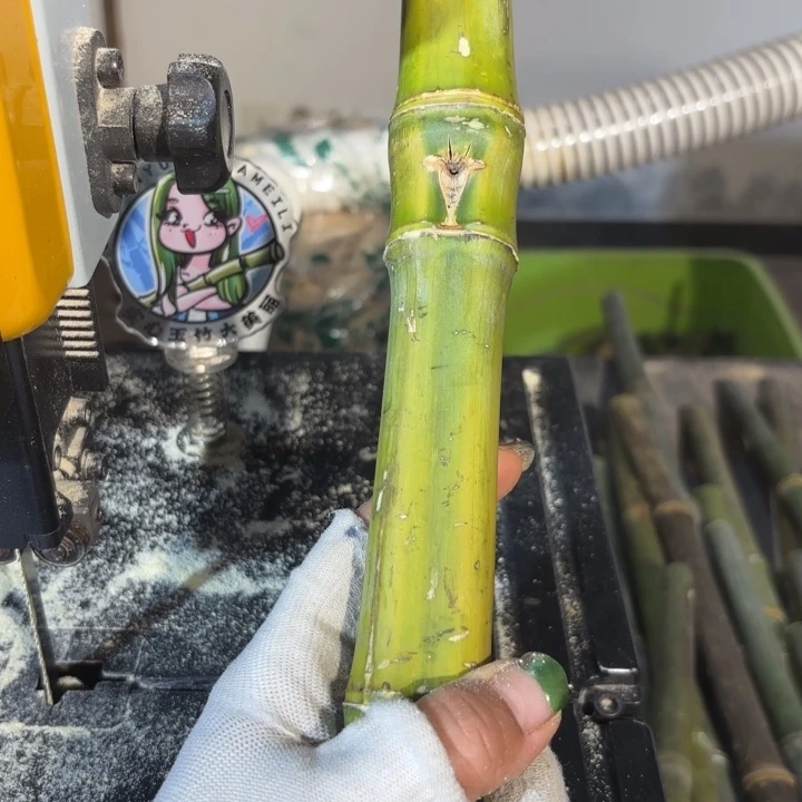 竹青***院实心 竹竹竹竹竹竹竹竹竹竹