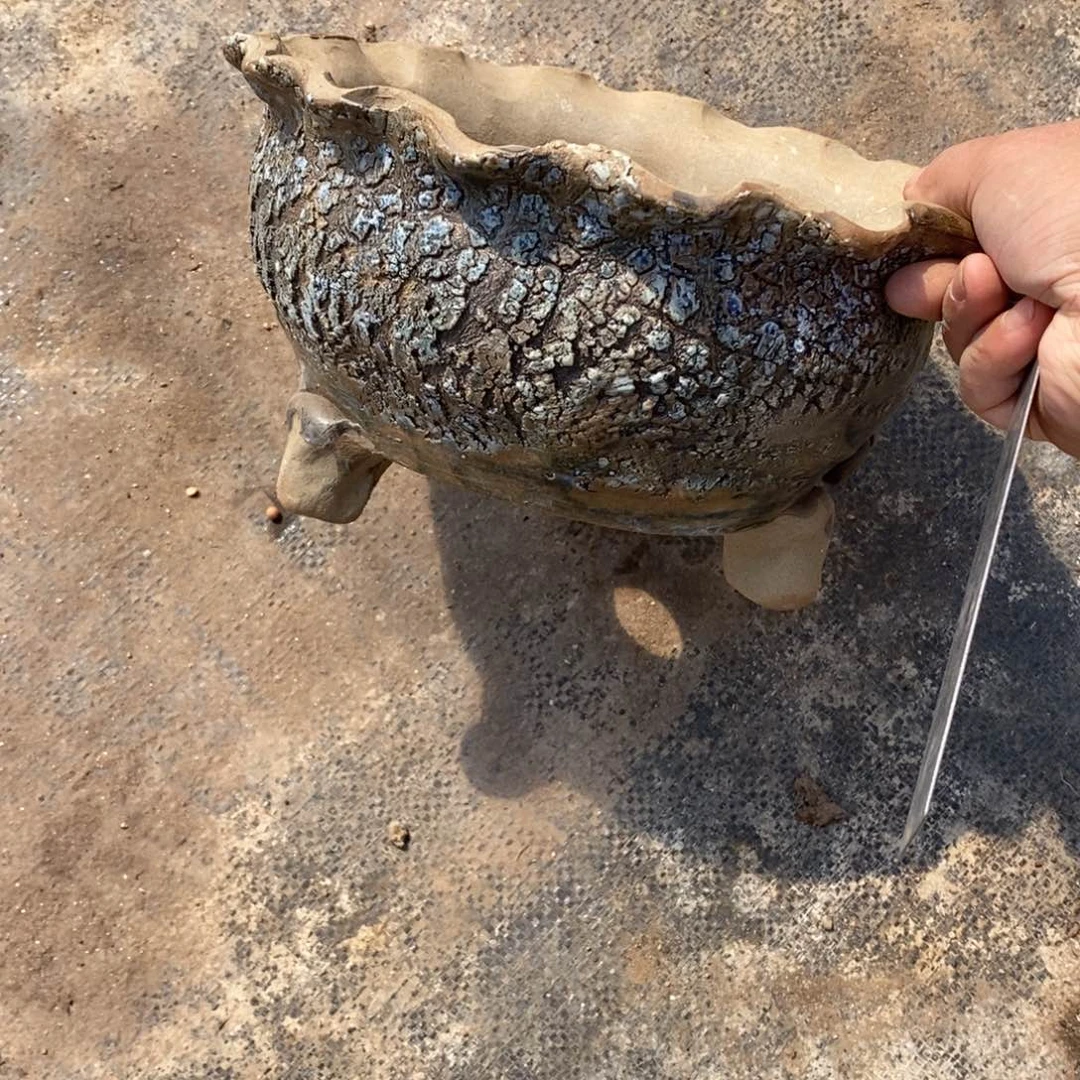 红陶用****95号多肉盆一个呀