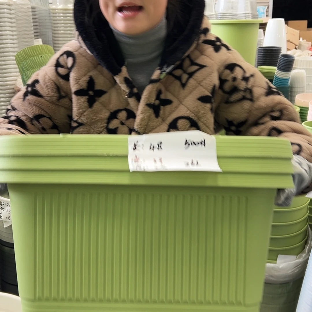菜盆500#果绿色3个无托