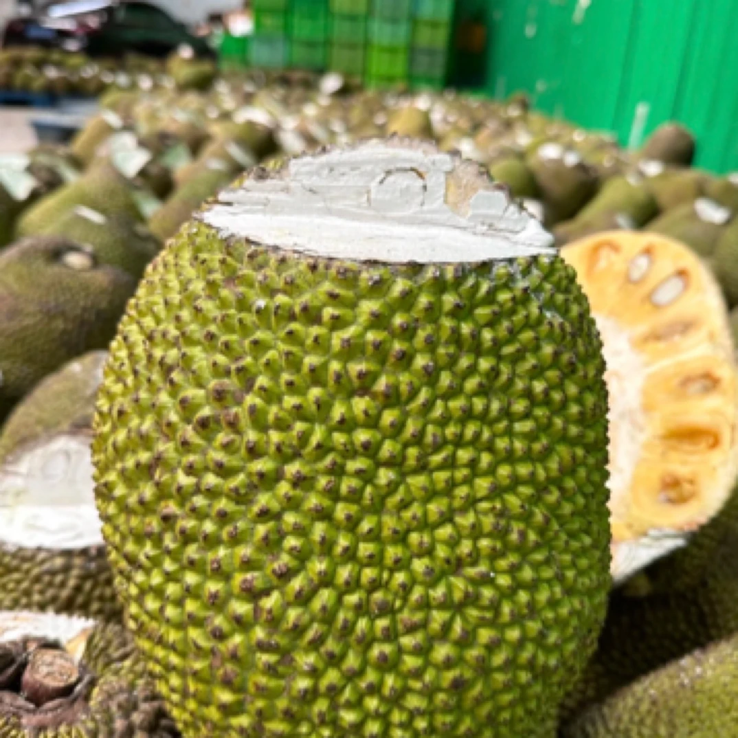 【开播福利】越南菠萝蜜黄肉整果10-12斤越南