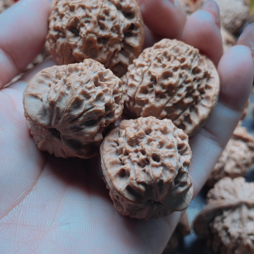 大***張桃核把件河豚核桃