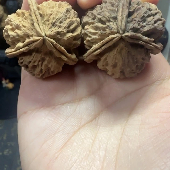 吊坠文玩核桃铁狮子三棱