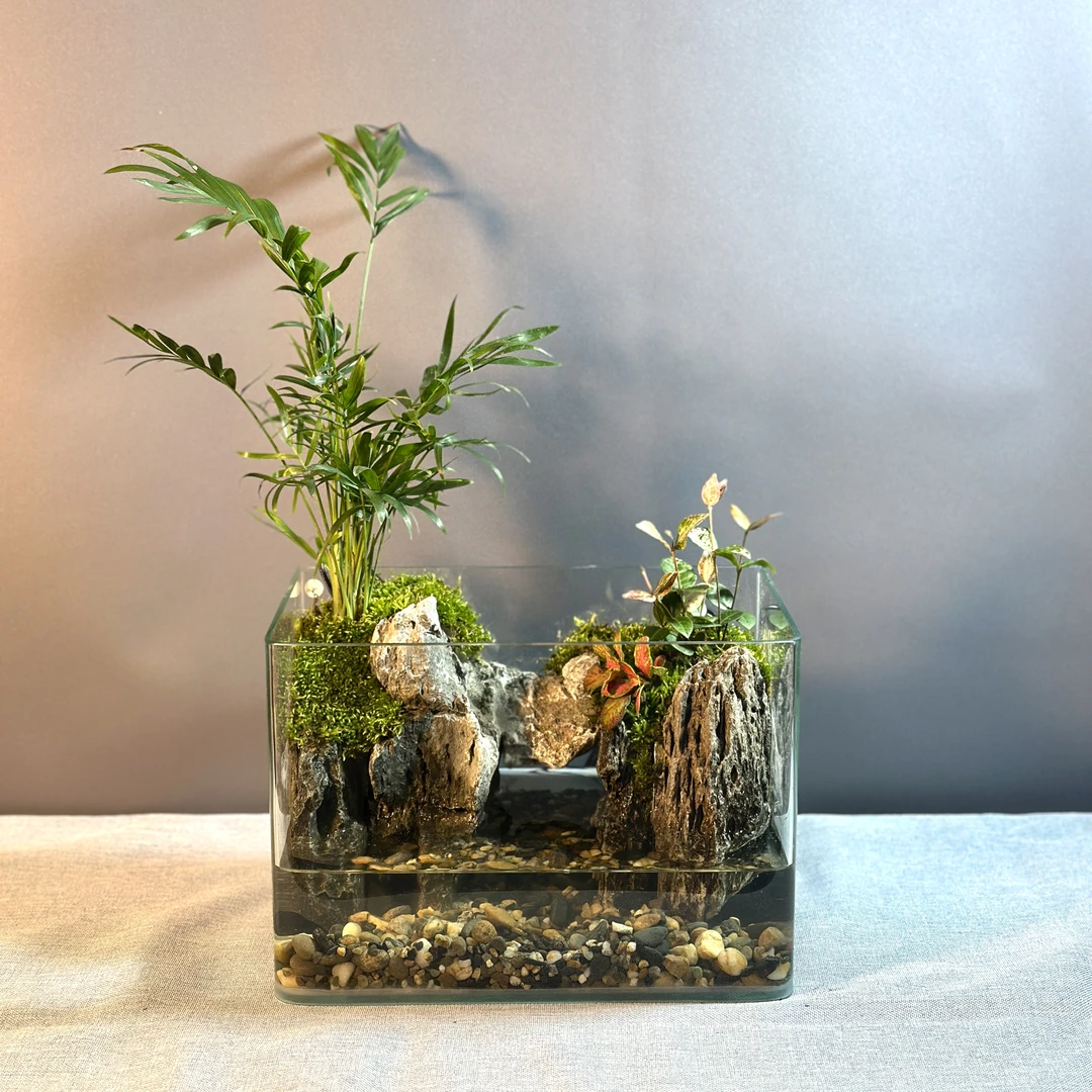 25*16*18凤尾竹苔藓微景观造型鱼缸绿色桌面办公室造景盆栽摆件