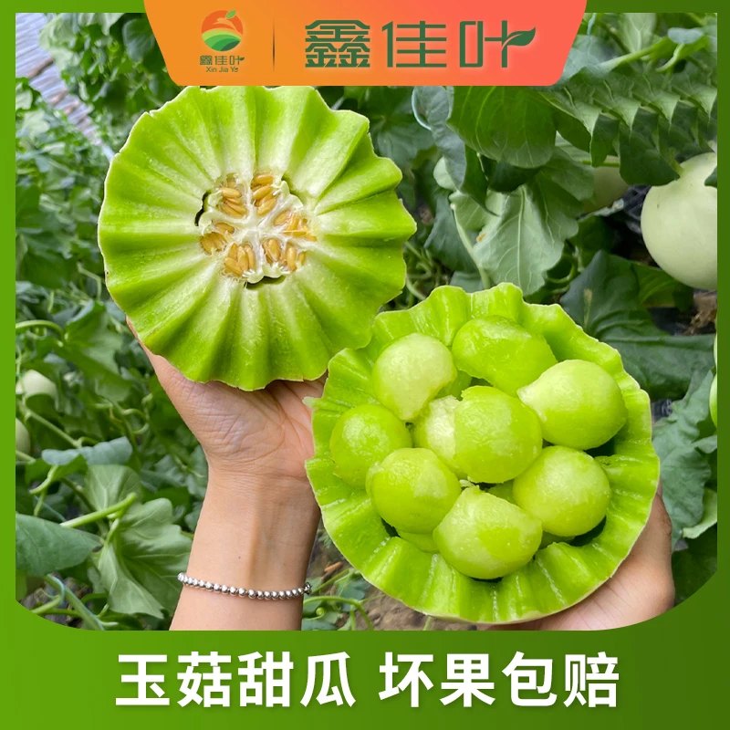 山东冰淇淋玉菇甜瓜净重5-9斤 新鲜采摘 软糯香甜产地直发