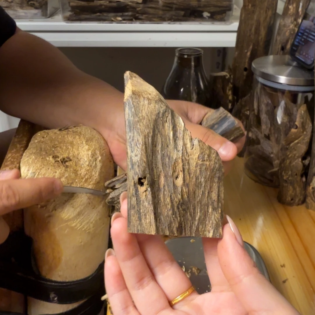 沉香白奇虫漏香17克