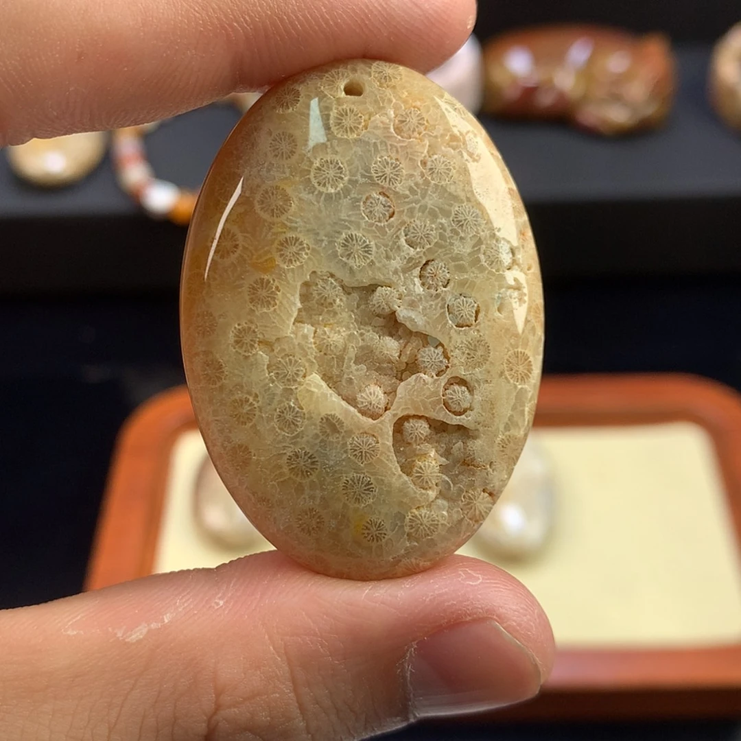 【闪购商品】硅化珊瑚（珊瑚玉）未镶嵌颈饰4号