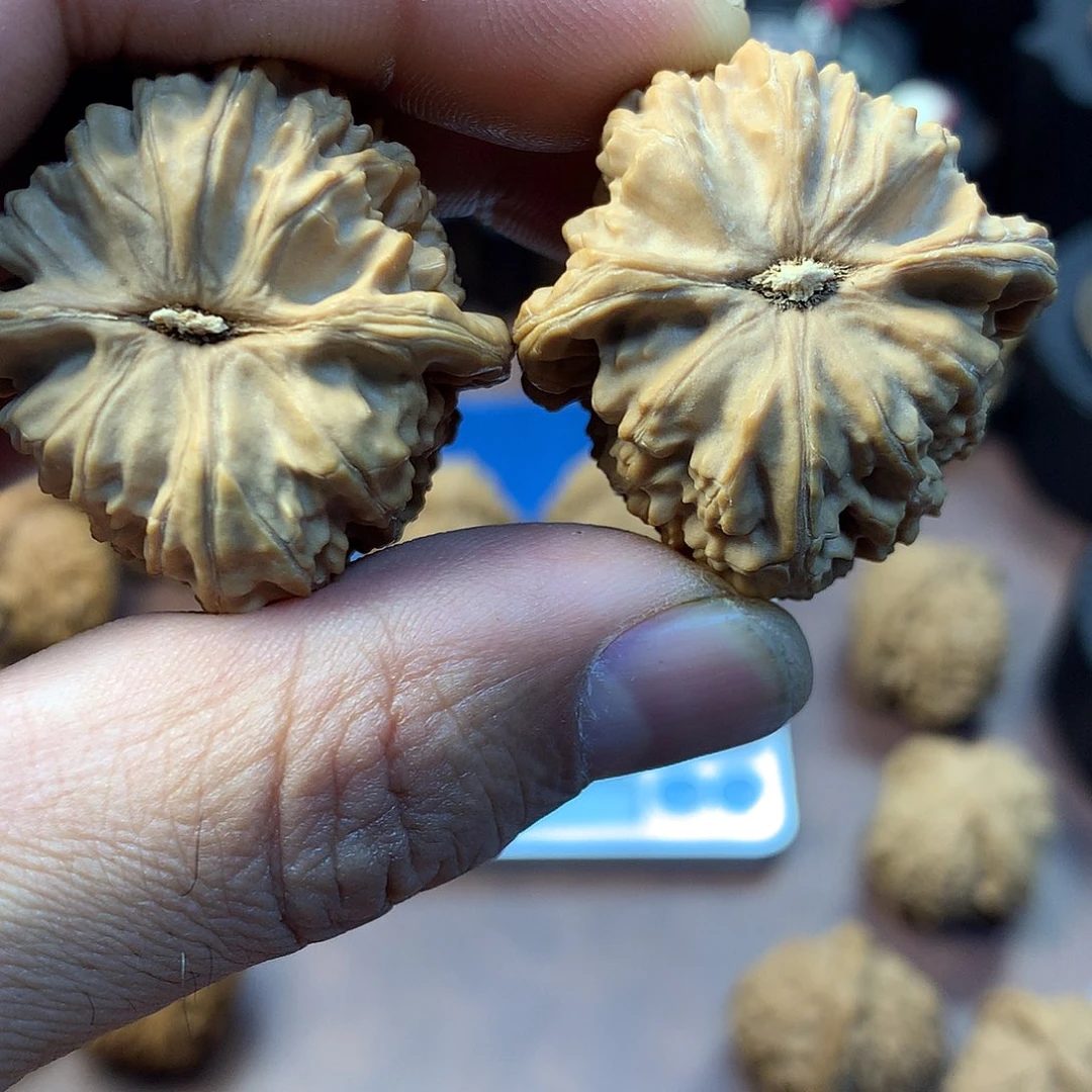 吊坠金刚菩提白狮子核桃练手对