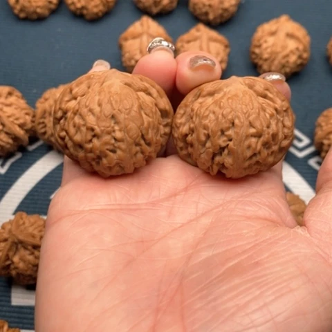 橄榄核手串/手链黑金刚39