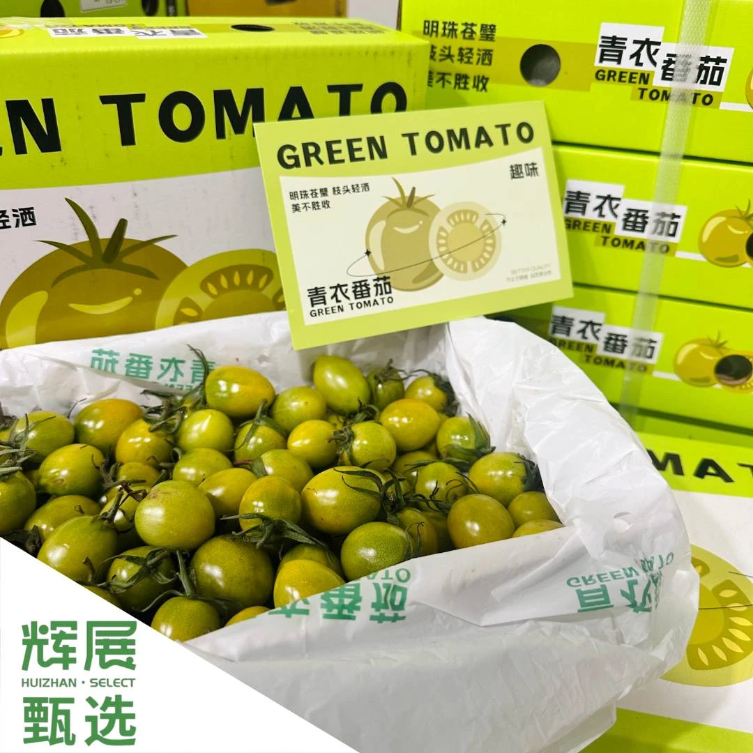 绿色小番茄爆汁口感嫩圣女果新鲜水果小柿子