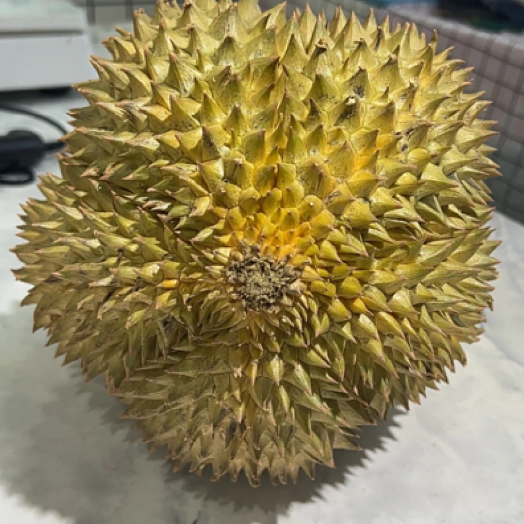 泰国空运树熟金枕榴莲，鲜榴莲，核小3-8斤（一物一拍）榴莲同城配金枕泰国