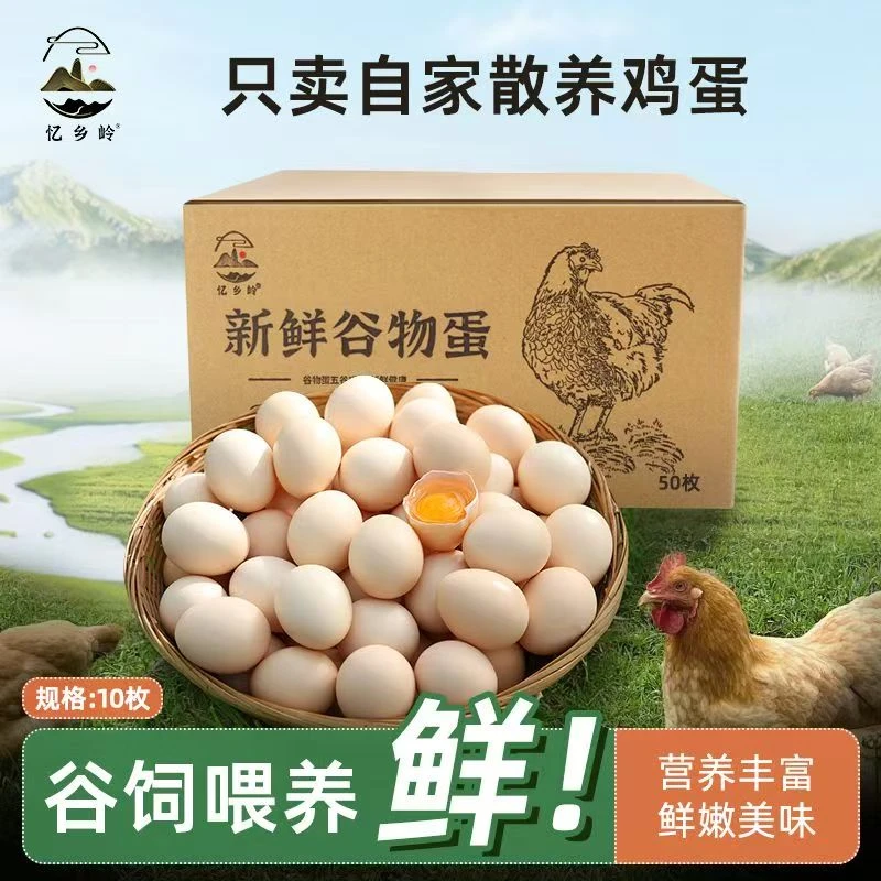 新品【10枚鲜鸡蛋装】正宗山林散养土鸡蛋新鲜柴鸡蛋好吃不贵美味