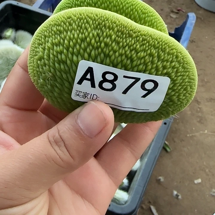 无花朵玉*青蛇缀头879