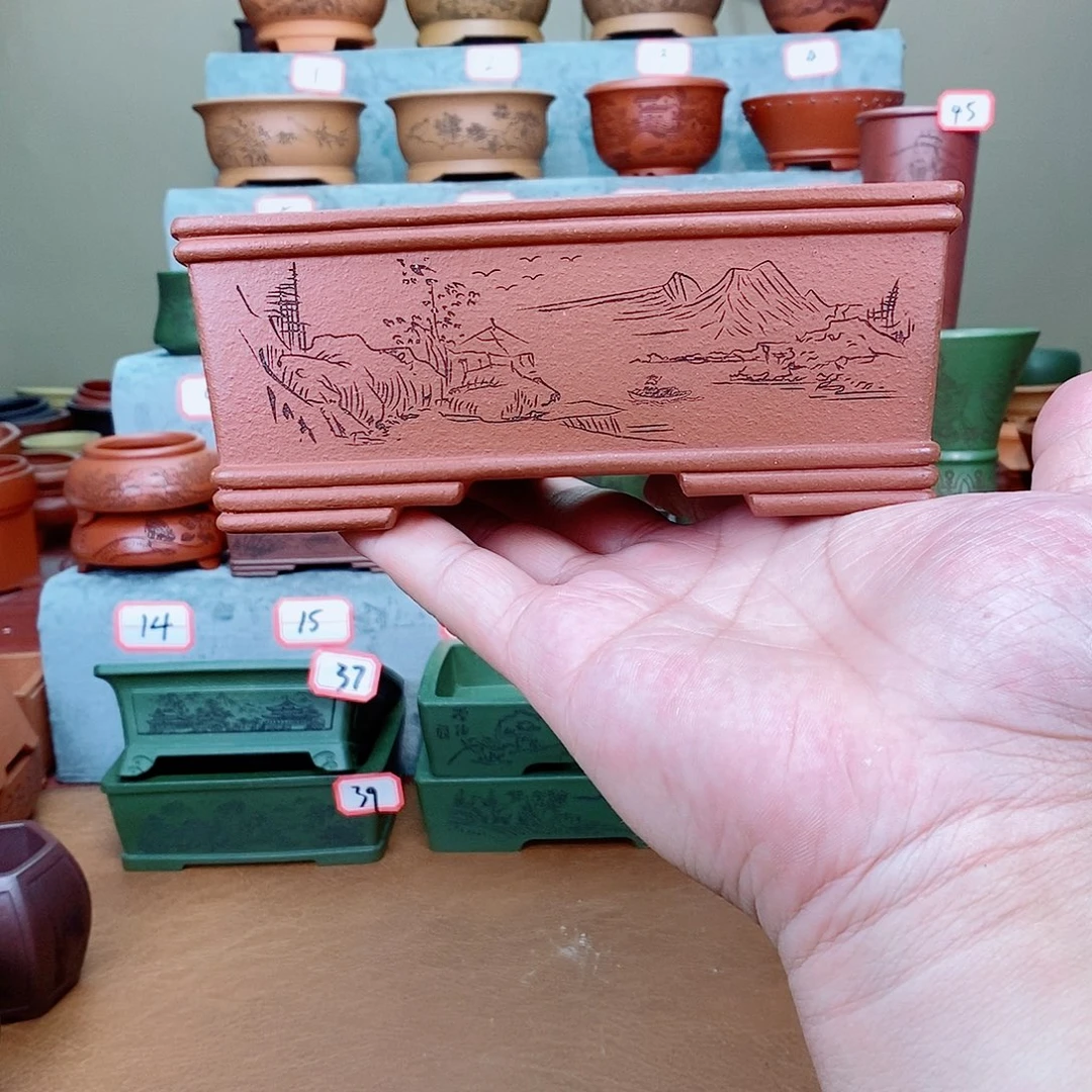 紫砂花盆在外面玩啊