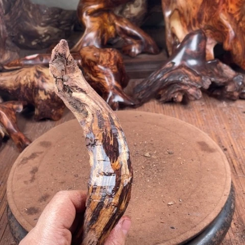 黄花梨/降香黄檀陌*