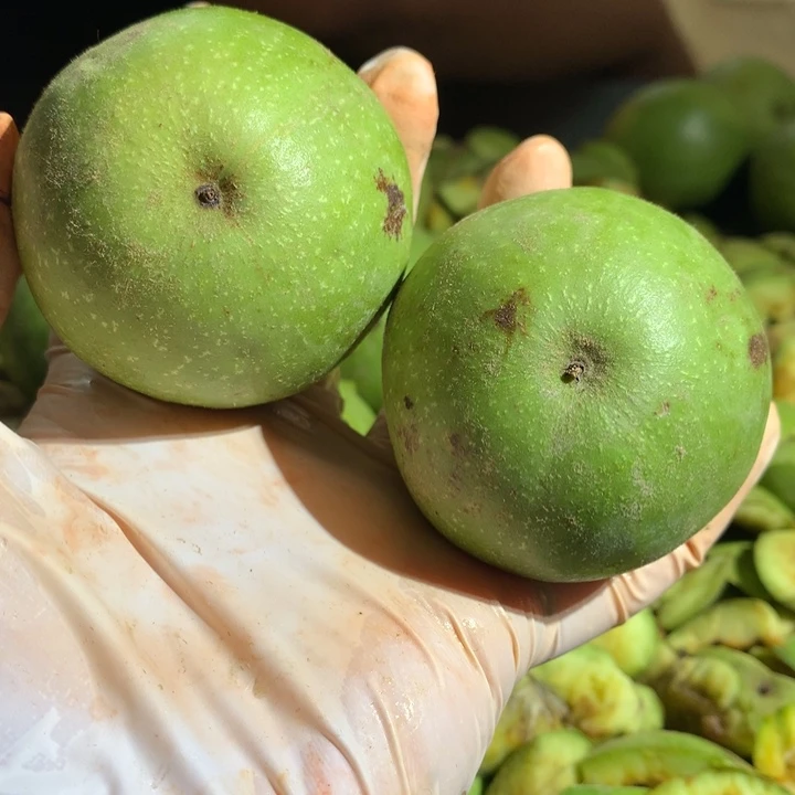 文玩核桃吊坠青皮特殊定制商品不退不换