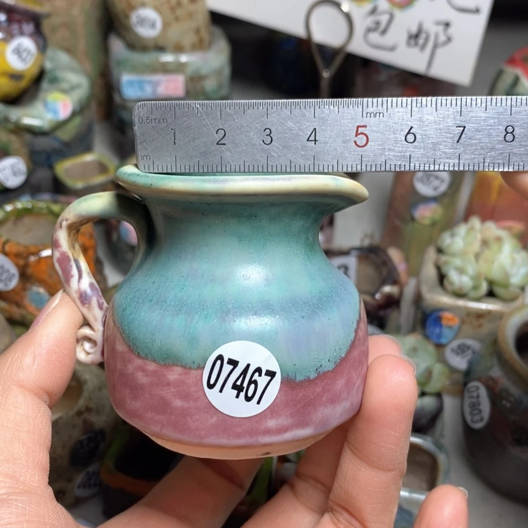 花盆拍5送一个小礼物