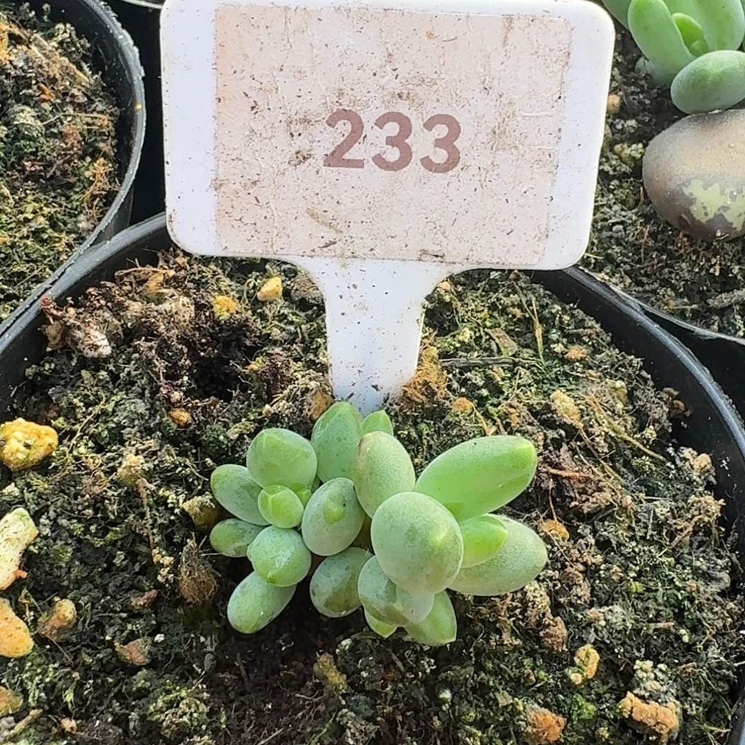 眼睛123456789101112