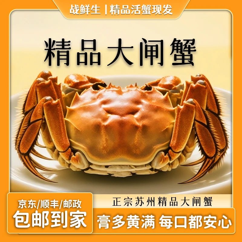 【活蟹现发】精品苏州大闸蟹 全母蟹 3两 10只装新