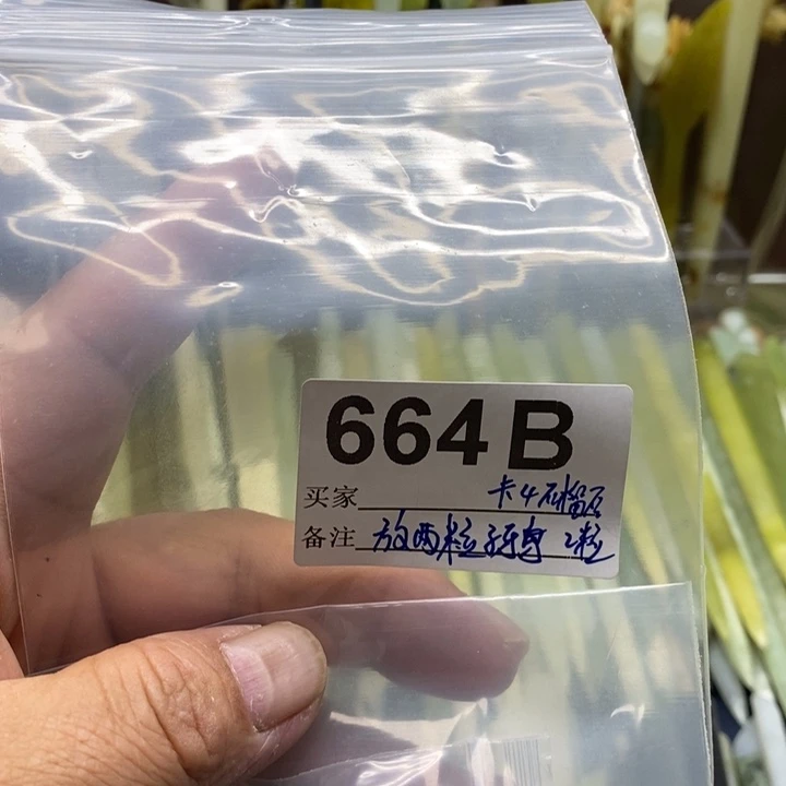 透闪石-蛇纹石玉发饰未镶嵌香****