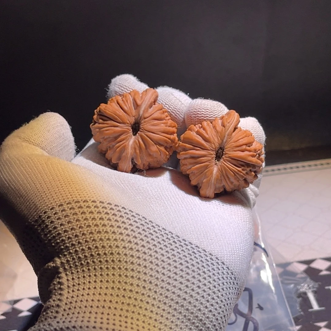 ━***全品40精对。全品。