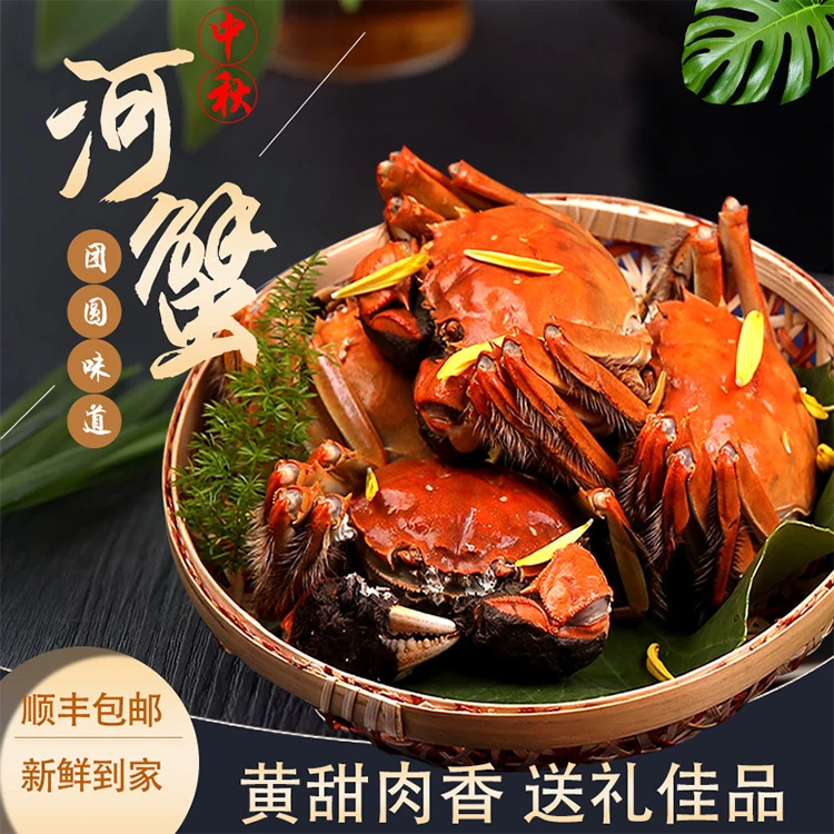 专属{活蟹}盘锦河蟹母蟹，1.6-1.9两，12只，顺丰冷链包邮