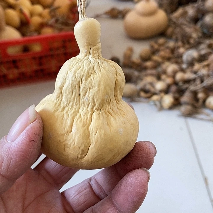 云*Yshshsjaksjzbssss