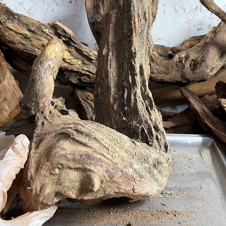 黄花梨/降香黄檀多**发