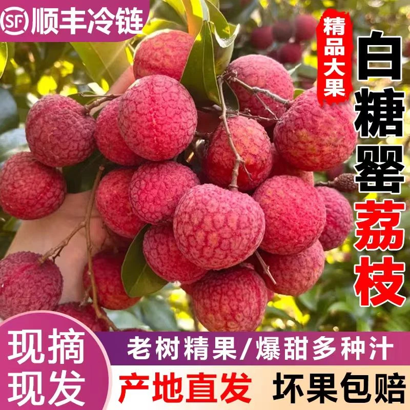 【顺丰包邮次日达】正宗海南空运白糖罂鲜果荔枝新鲜现摘现发1-8斤荔枝同城送
