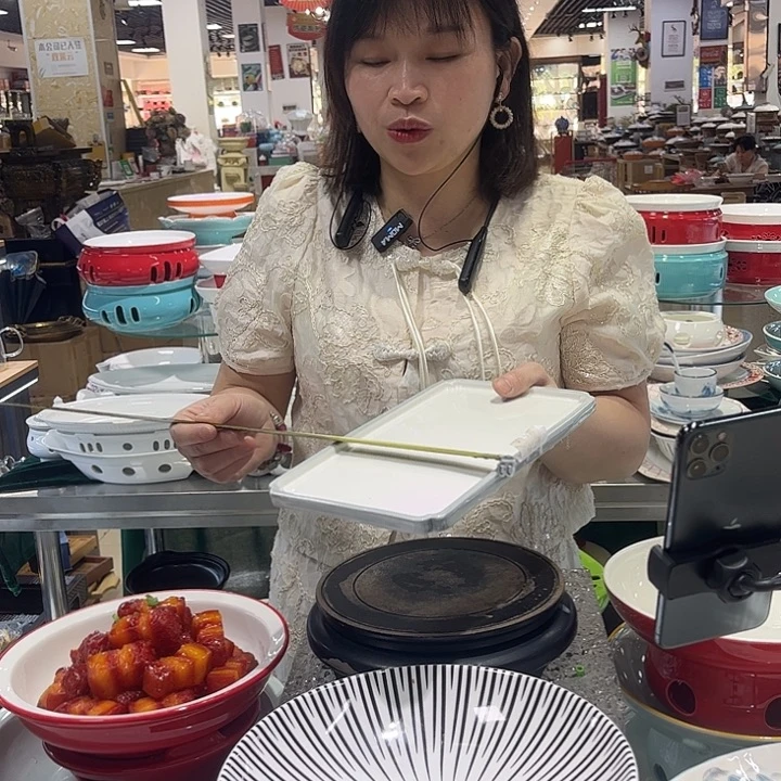 陶瓷494...........