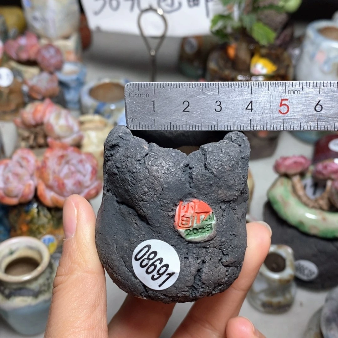 花盆拍3送一个小礼物