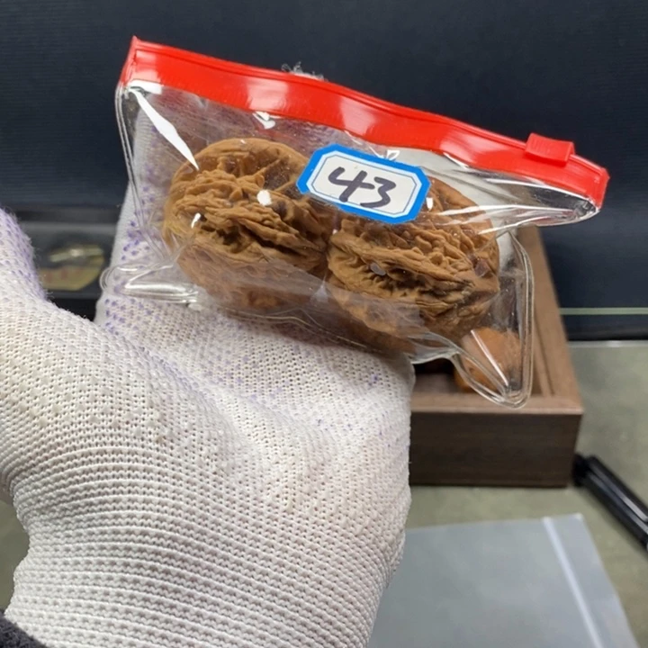 梵***恼核桃等经济林的功效。核桃