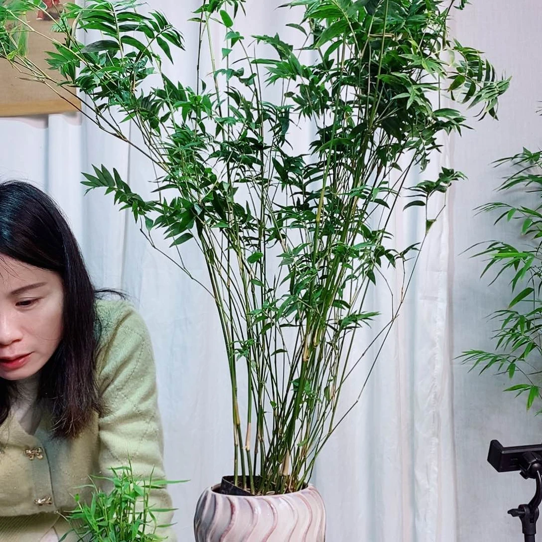 完全开放869888888888