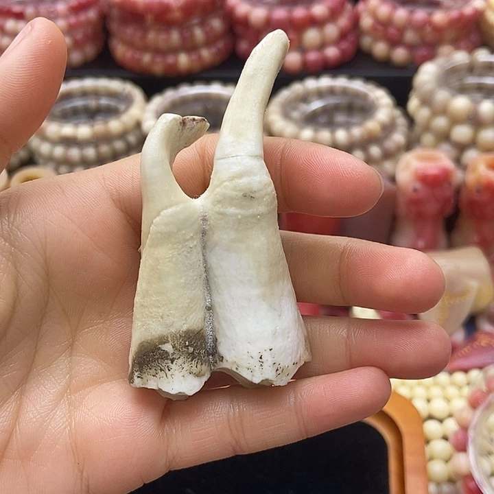 驼骨手串/手链驼牙