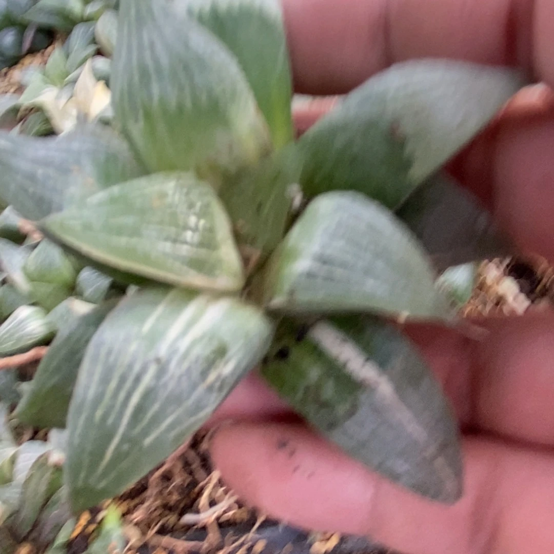 遇***羡1430  一颗福利。