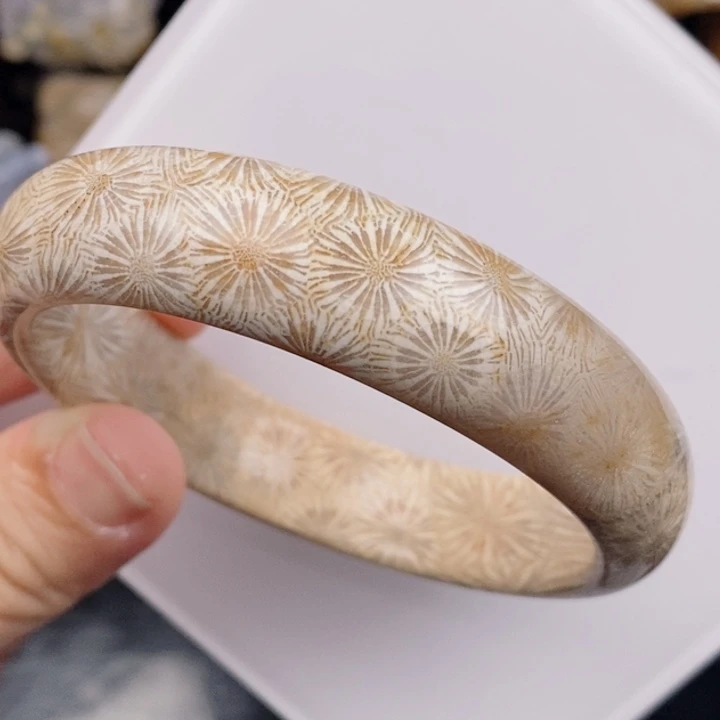 未镶嵌手镯硅化玉58.8