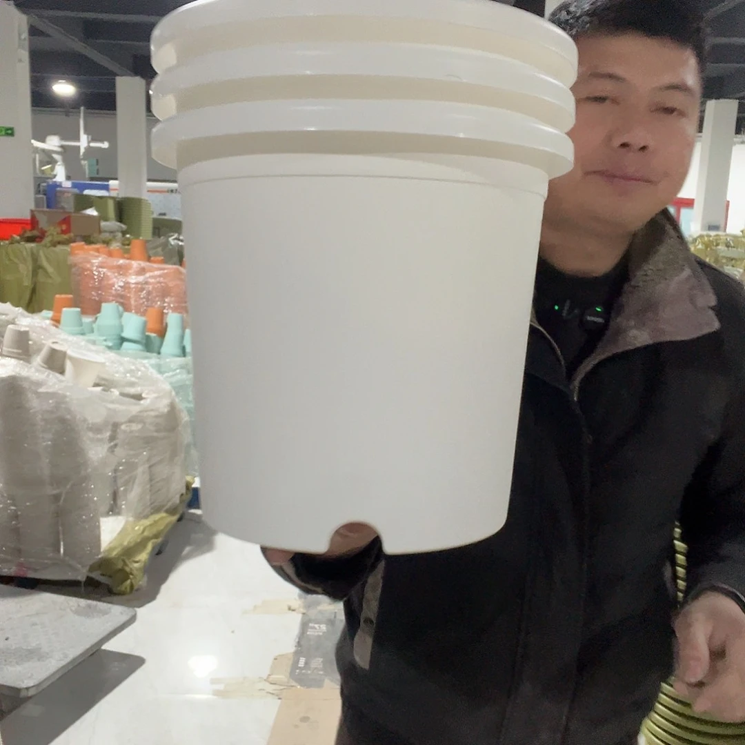 树脂圆5号白3个无托