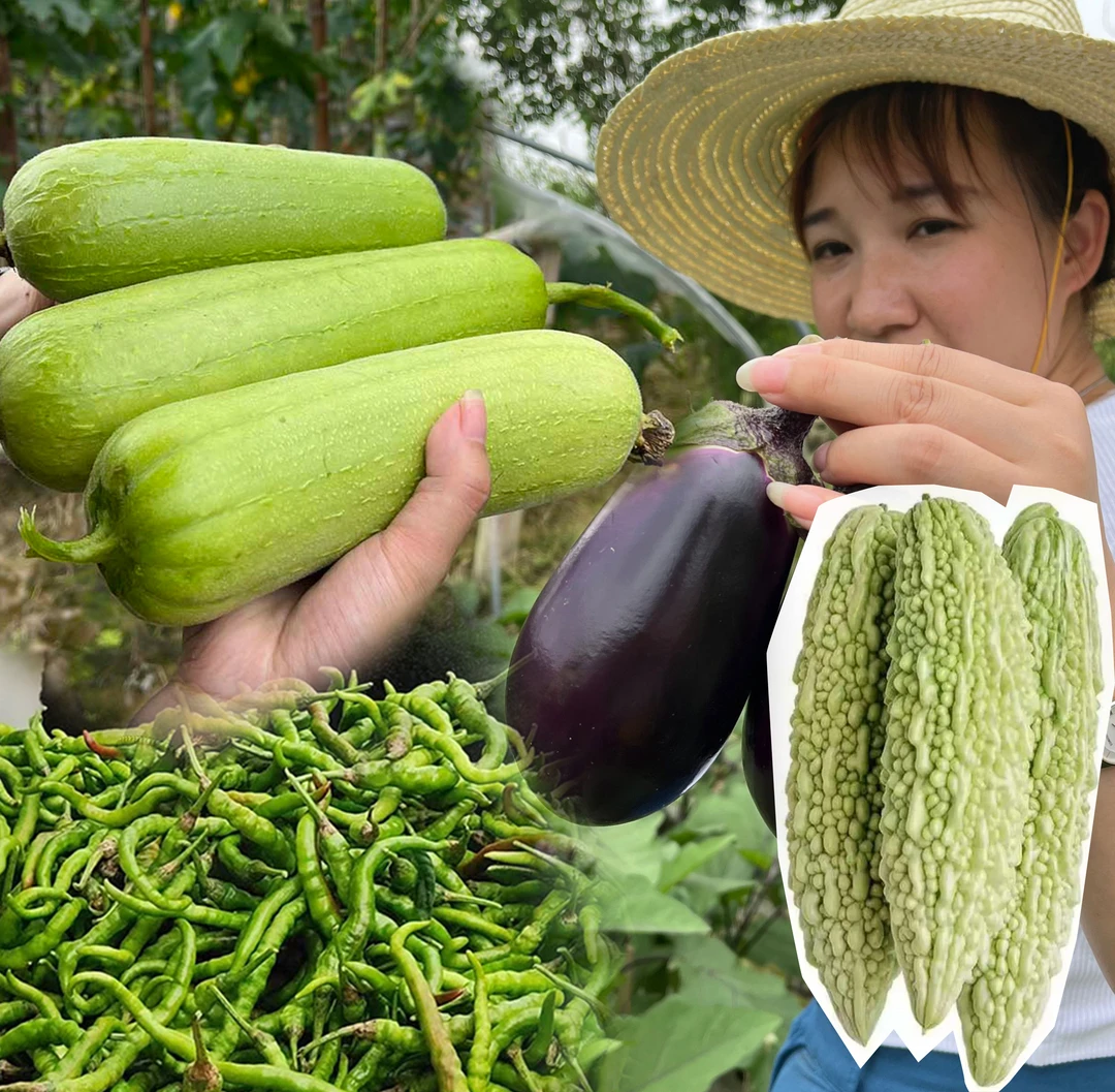 湖南本地菜茄子丝瓜辣椒苦瓜混搭链接