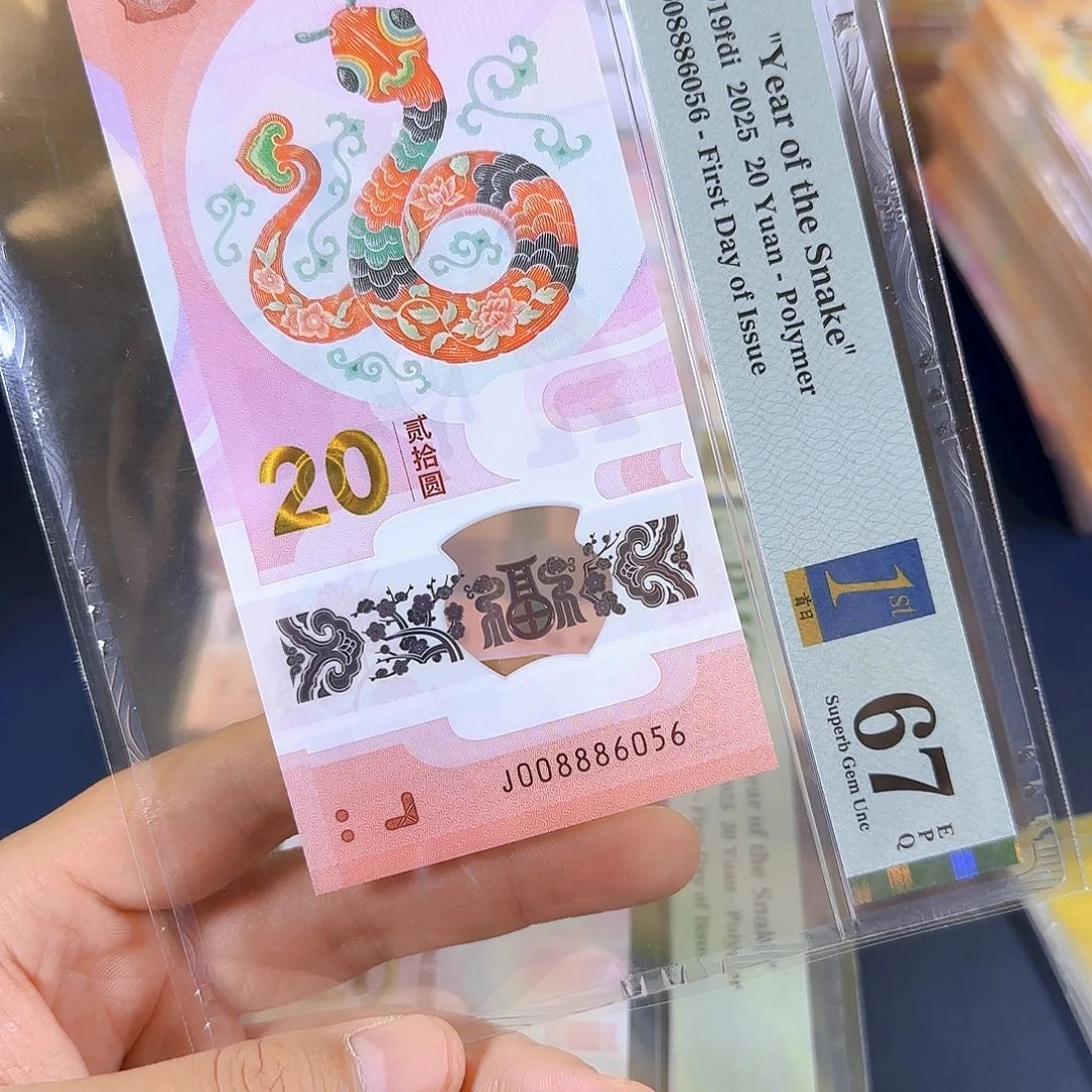 塑料蛇钞008886056单张