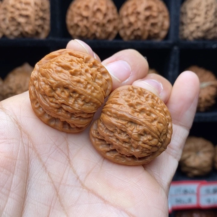 止***.吊坠龙脊菩提白狮子32全品