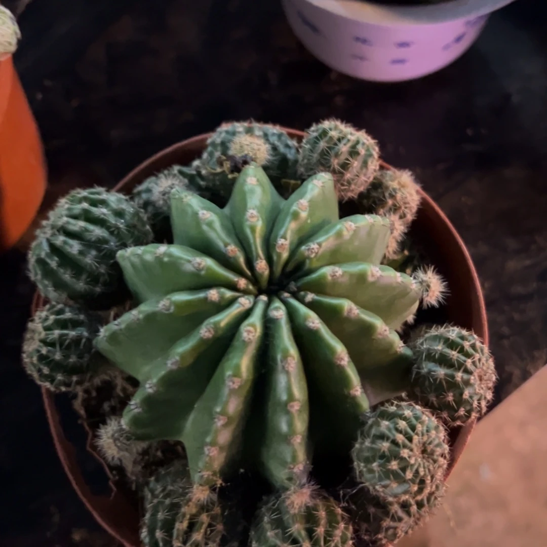 星***予哈哈哈哈哈哈哈哈哈哈