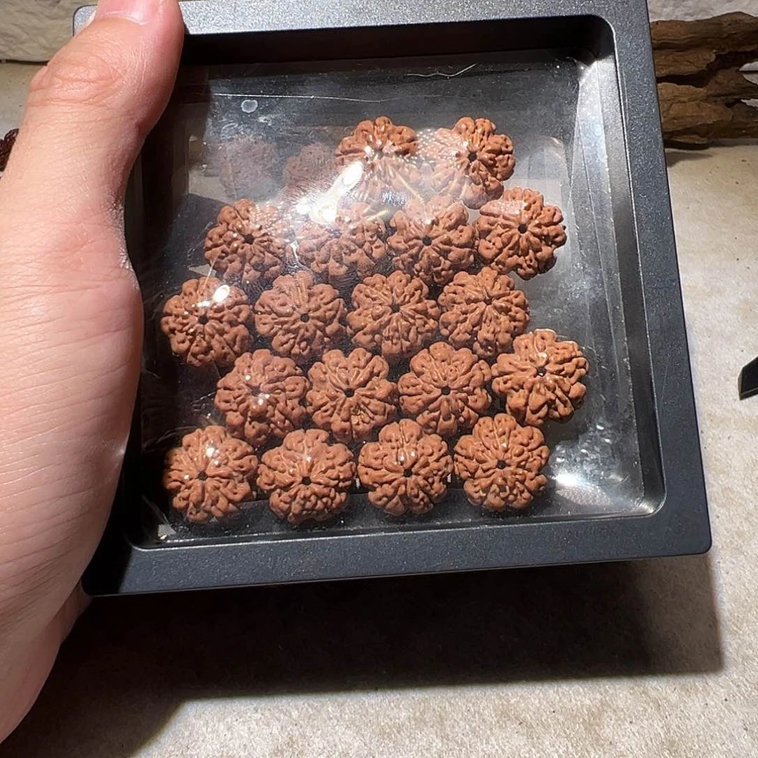 金刚菩提手串小花王16尺寸福利