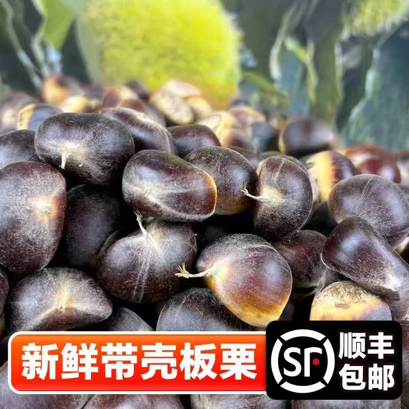 【顺丰包邮】大别山新鲜板栗新鲜现货带壳嫩板栗花壳栗子