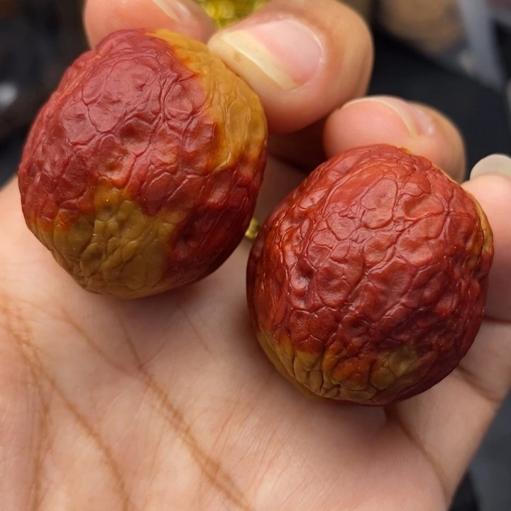 文玩核桃把件34尺丸子